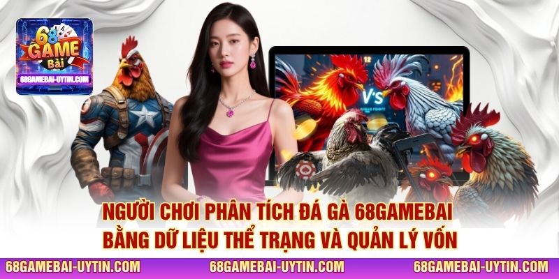 Người chơi phân tích đá gà 68GAMEBAI bằng dữ liệu thể trạng và quản lý vốn