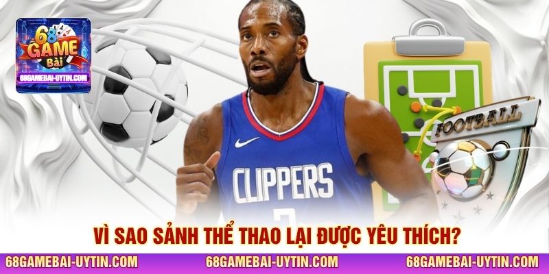 Vì sao sảnh thể thao lại được yêu thích?